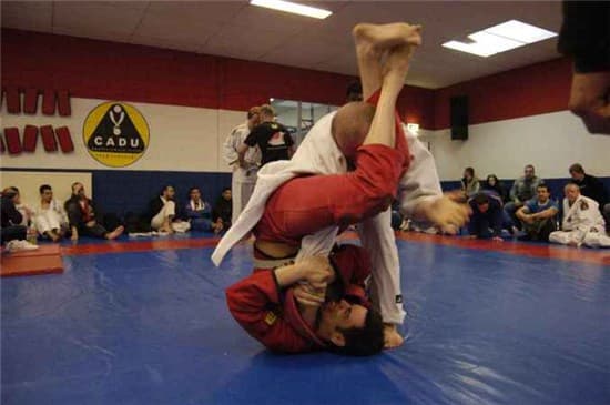Alt Fighter applying armbar after guard jump